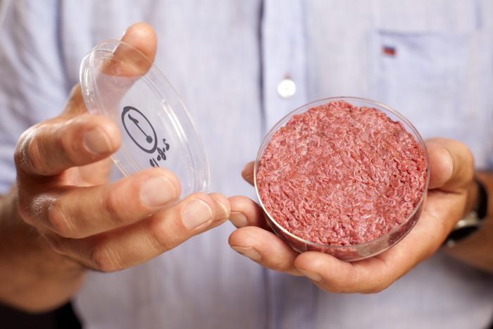 Forskere vil lave kød uden dyr
