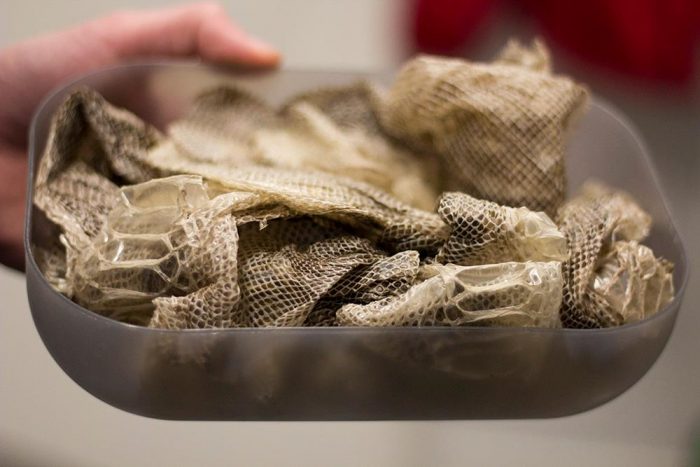 Hittegodskontor efterlyser ejer af boks med slangeskind