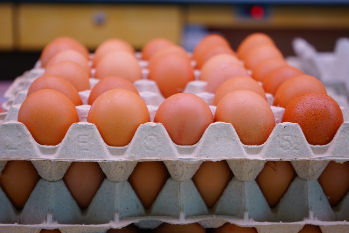 Fødevareekspert: Veganer-æg er en midlertidig dille