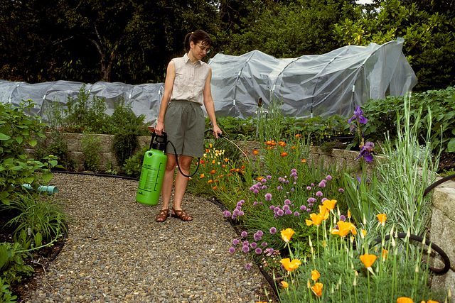 Haveejere kan købe pesticider i litervis: »Det er op til folks egen samvittighed«