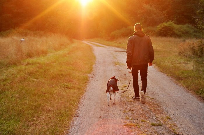 Psykoterapeut: Det kan være værre at miste sit kæledyr end et familiemedlem