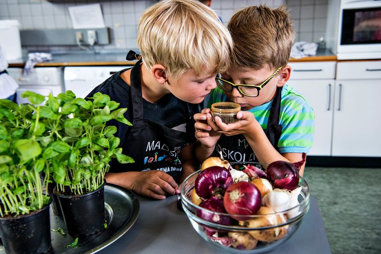 Nyt samarbejde: Ældre skal lære børn at lave mad