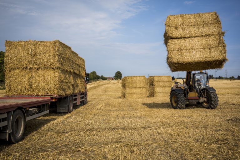 Kæmpe halmballer koster landmænd livet
