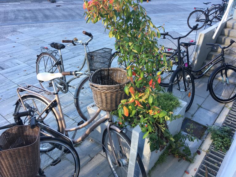Se tallene: Så mange er tilfredse med cykelforholdene i din kommune