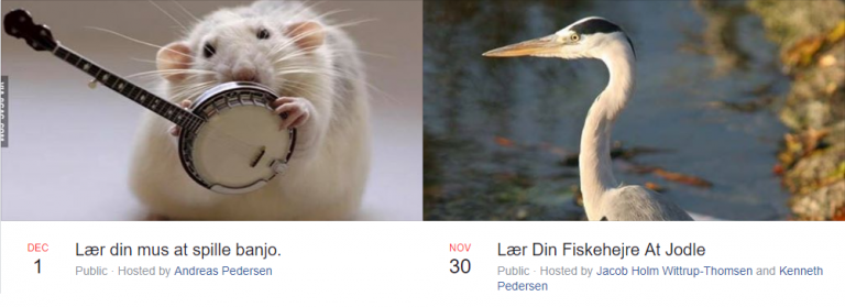 Det vrimler med kæledyrskurser på Facebook: ”Lær din mus at spille banjo”
