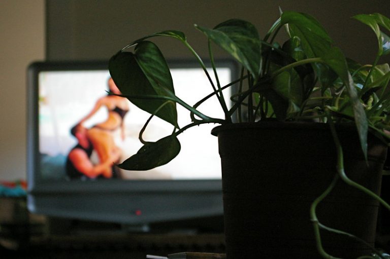 Børns Vilkår: Man skal også tale med børn om porno, sex og sexualitet