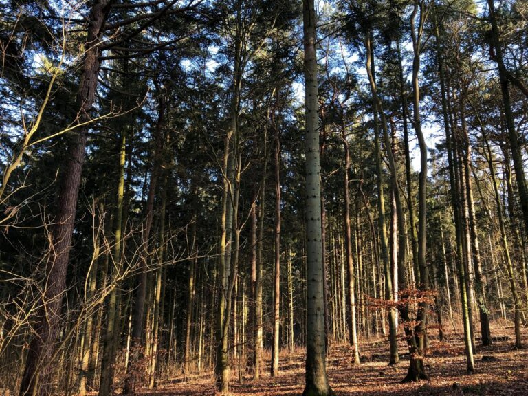 Hold til højre…eller venstre? Færdselsloven gælder også i naturen