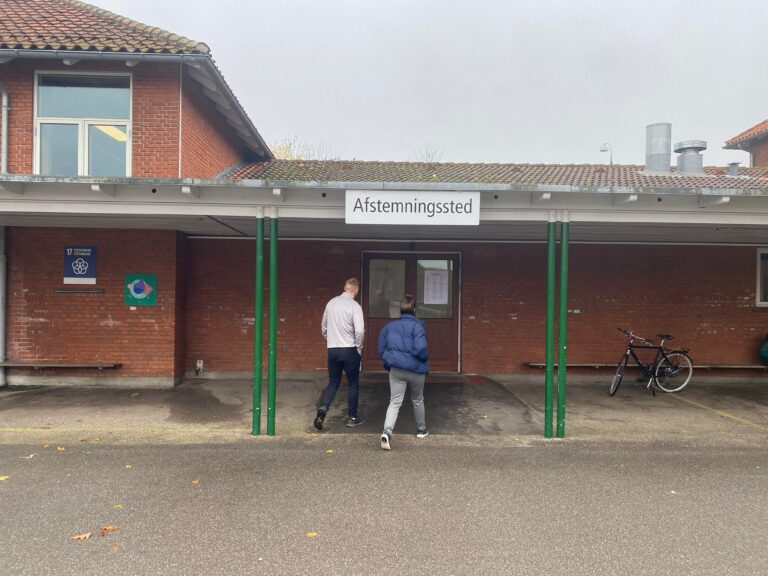 Hver 5. vælger er i tvivl: »Der er alt for mange partier at vælge imellem«