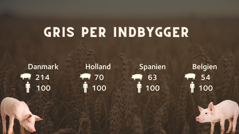 Danmark er svinenes land, men nu lurer et ‘nej tak’ fra europæerne