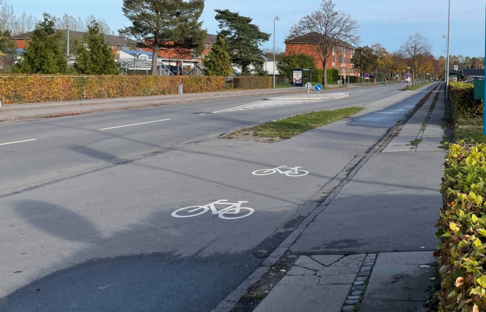 Parkeringer og stejle ’asfaltspølser’ udfordrer gangbesværede i Høje-Taastrup
