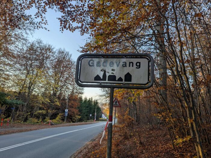 Mystiske skud om natten: Er der krybskytter i Gribskov?