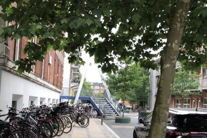 Skoleleder og organisation advarer mod karakterer i 5. klasse: Vi flytter bare præstationspresset længere ned