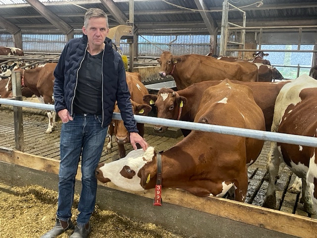 Carsten kunne hurtigt se, at der var noget galt: “At hælde kemi i køerne er et no-go”