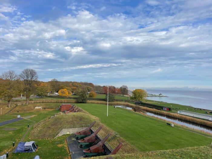 Hvepsesværme omringer Charlottenlund: Forskere peger på klimaforandringer