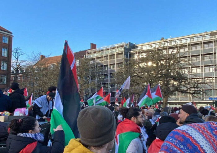 Flere af de små lister kæmper for Palæstina. Ekspert kalder dem for opmærksomhedslister.