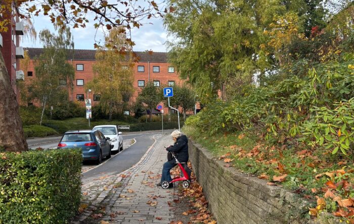 Ældrepleje i bedring: “men der er et stykke vej igen” Ældrepleje i bedring: “men der er et stykke vej igen”