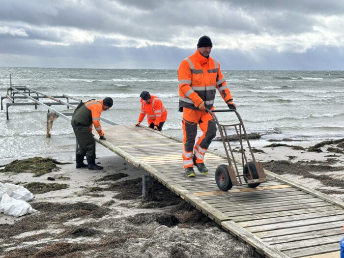Greve: Badebroerne er tilbage – ekspert advarer mod at bade alene