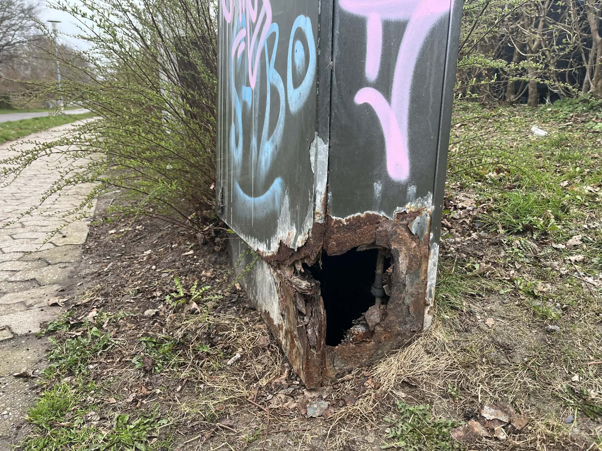 56db8a26-9512-494d-8545-d8b8de187743