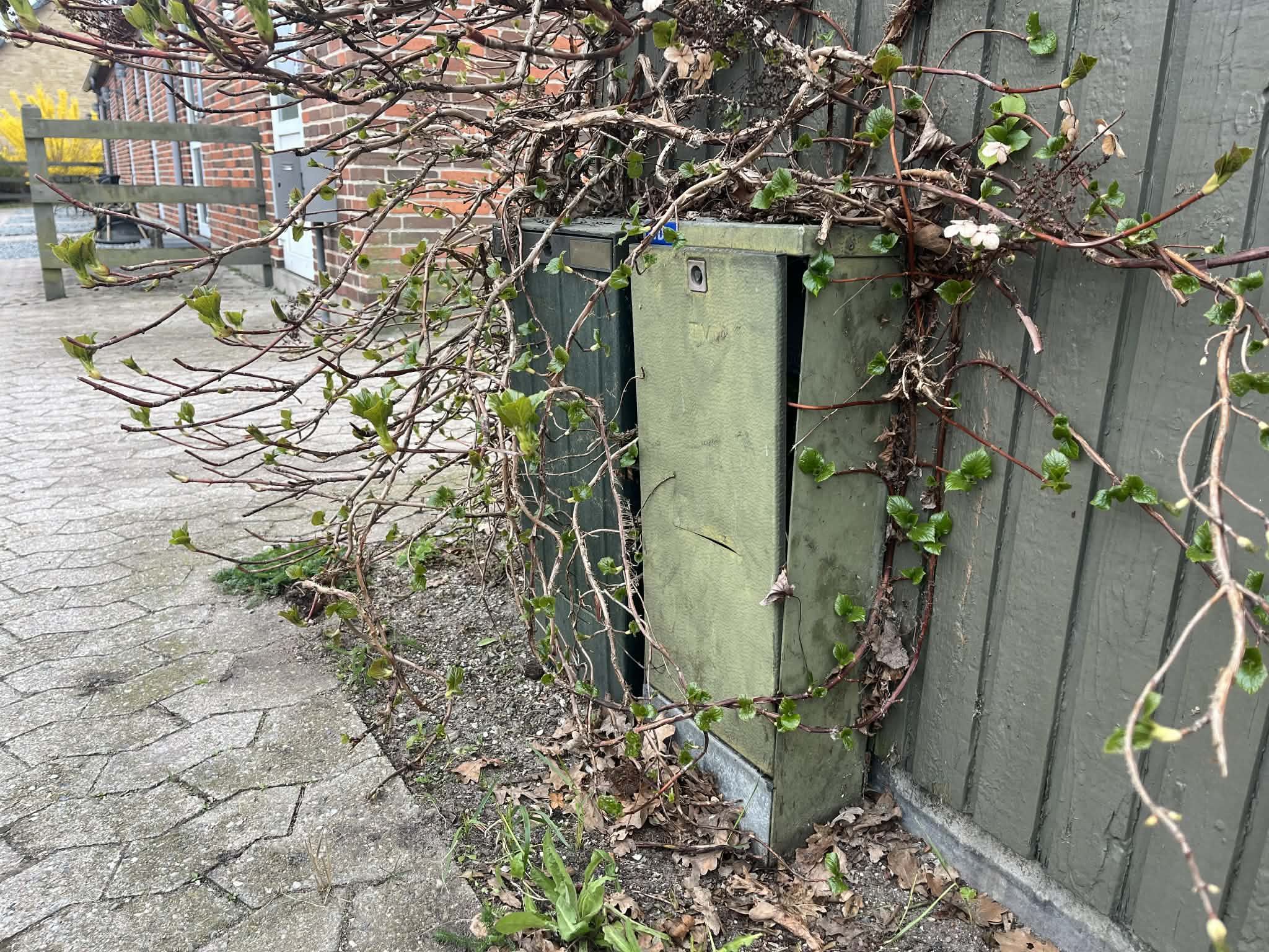 6168152e-7d32-4010-9bd5-d614aa1c1c7c