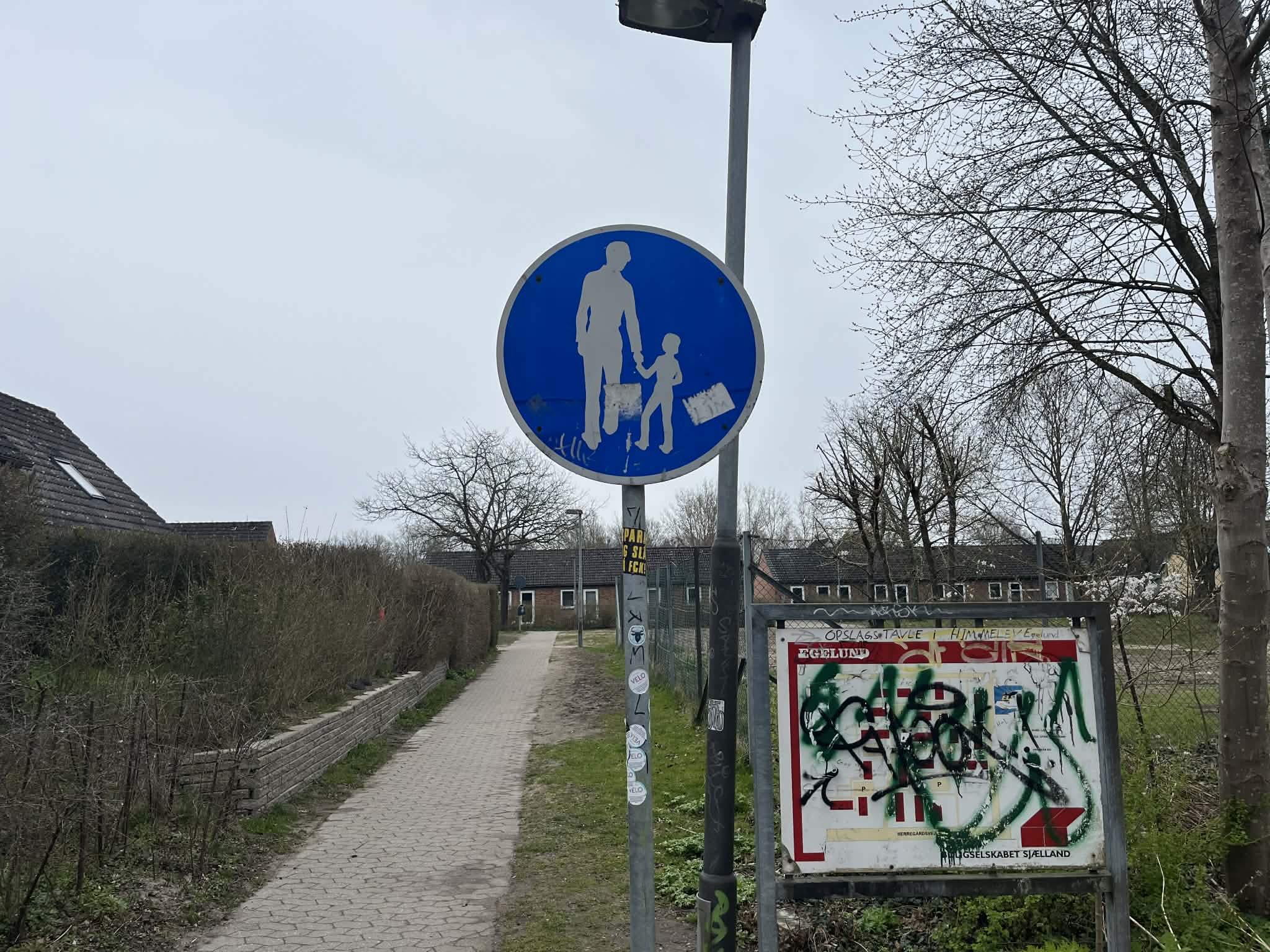 6d21d52b-78d3-4b20-ac80-00ddd6369d26