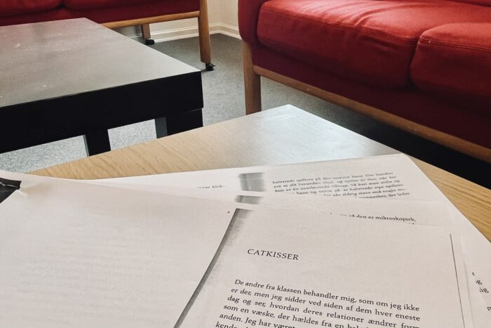 Læsning i fællesskab skaber åbenhed: “Man skal passe på med at kalde det terapi, men…”